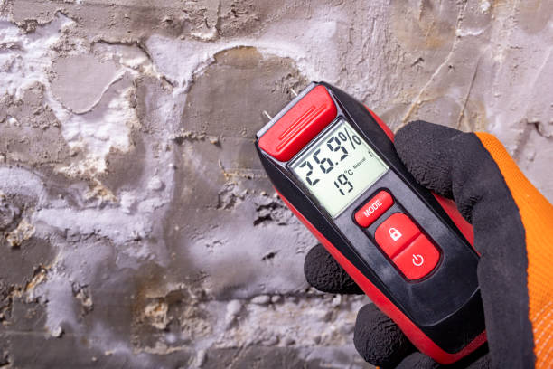 Best Crawl Space Mold Removal  in Port Neches, TX