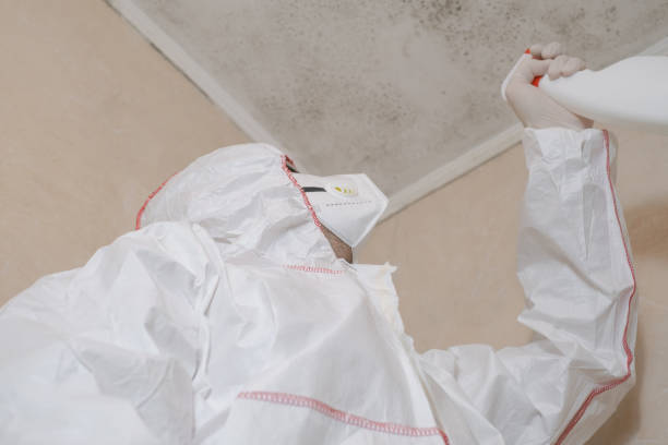 Best Mold Testing  in Port Neches, TX